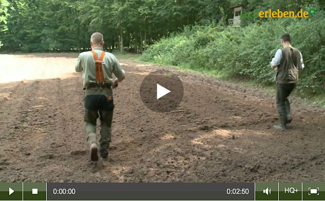 Video: Winter Wildäsungsflächen anlegen