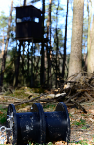 Kirrung im Wald