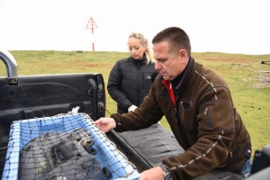 Die kleinen Heuler sind reisefertig - auf geht's zur Seehundstation Friedrichskoog